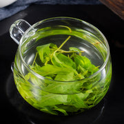 Ku Ding Cha 苦丁茶, Holly Leaf, Folium Llicis Latifoliae, Chinese Holly Leaf Tea-Health Wisdom™