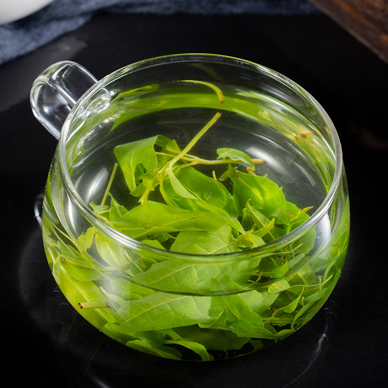 Ku Ding Cha 苦丁茶, Holly Leaf, Folium Llicis Latifoliae, Chinese Holly Leaf Tea-Health Wisdom™