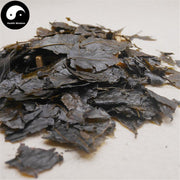 Ku Ding Cha 苦丁茶, Loose Holly Leaf, Folium Llicis Latifoliae, Chinese Holly Leaf Tea-Health Wisdom™