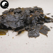Ku Ding Cha 苦丁茶, Loose Holly Leaf, Folium Llicis Latifoliae, Chinese Holly Leaf Tea-Health Wisdom™