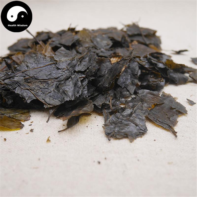 Ku Ding Cha 苦丁茶, Loose Holly Leaf, Folium Llicis Latifoliae, Chinese Holly Leaf Tea-Health Wisdom™