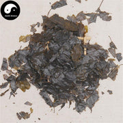 Ku Ding Cha 苦丁茶, Loose Holly Leaf, Folium Llicis Latifoliae, Chinese Holly Leaf Tea-Health Wisdom™