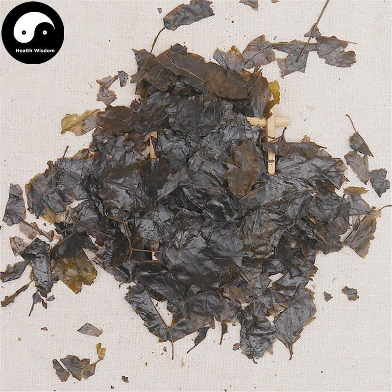 Ku Ding Cha 苦丁茶, Loose Holly Leaf, Folium Llicis Latifoliae, Chinese Holly Leaf Tea-Health Wisdom™