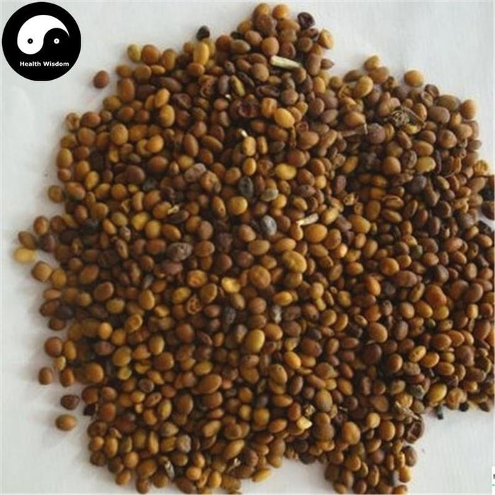 Ku Dou Zi 苦豆子, Sophora Alopecuroides Seeds-Health Wisdom™