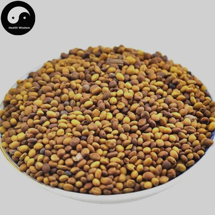 Ku Dou Zi 苦豆子, Sophora Alopecuroides Seeds-Health Wisdom™