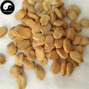 Ku Gua Zi 苦瓜子, Balsampear Seed, Semen Momordicae Charantiae, Ku Gua Ren-Health Wisdom™