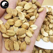 Ku Gua Zi 苦瓜子, Balsampear Seed, Semen Momordicae Charantiae, Ku Gua Ren-Health Wisdom™