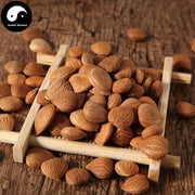 Ku Xing Ren 苦杏仁, Semen Armeniacae Amarae, Bitter Apricot Seed-Health Wisdom™