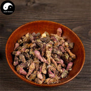 Kuan Dong Hua 款冬花, Flos Tussilago Farfarae, Common Coltsfoot Flower-Health Wisdom™
