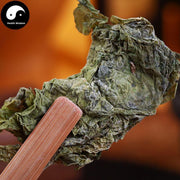 Kun Bu 昆布, Thallus Eckloniae, Kelp, Ecklonia kurome Okam-Health Wisdom™