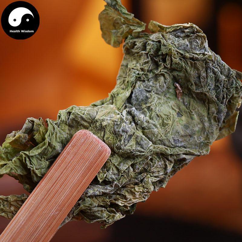 Kun Bu 昆布, Thallus Eckloniae, Kelp, Ecklonia kurome Okam-Health Wisdom™