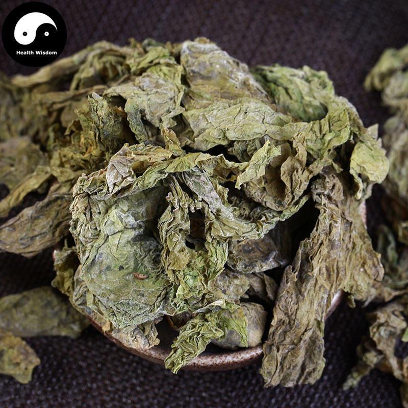 Kun Bu 昆布, Thallus Eckloniae, Kelp, Ecklonia kurome Okam-Health Wisdom™