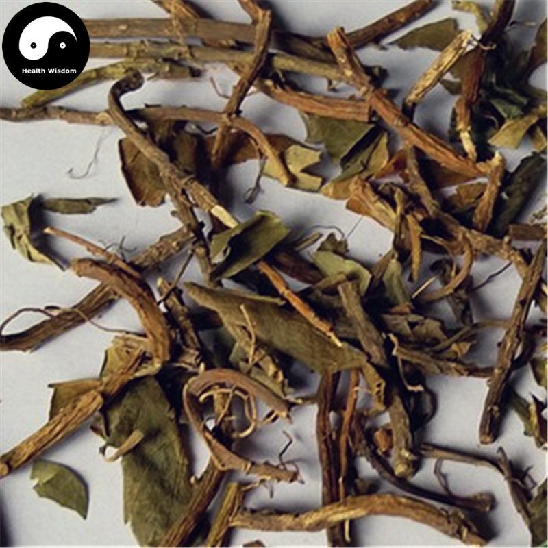 Kun Xian Sheng 捆仙绳, Herba Pachysandra Terminalis, Xue Shan Lin-Health Wisdom™