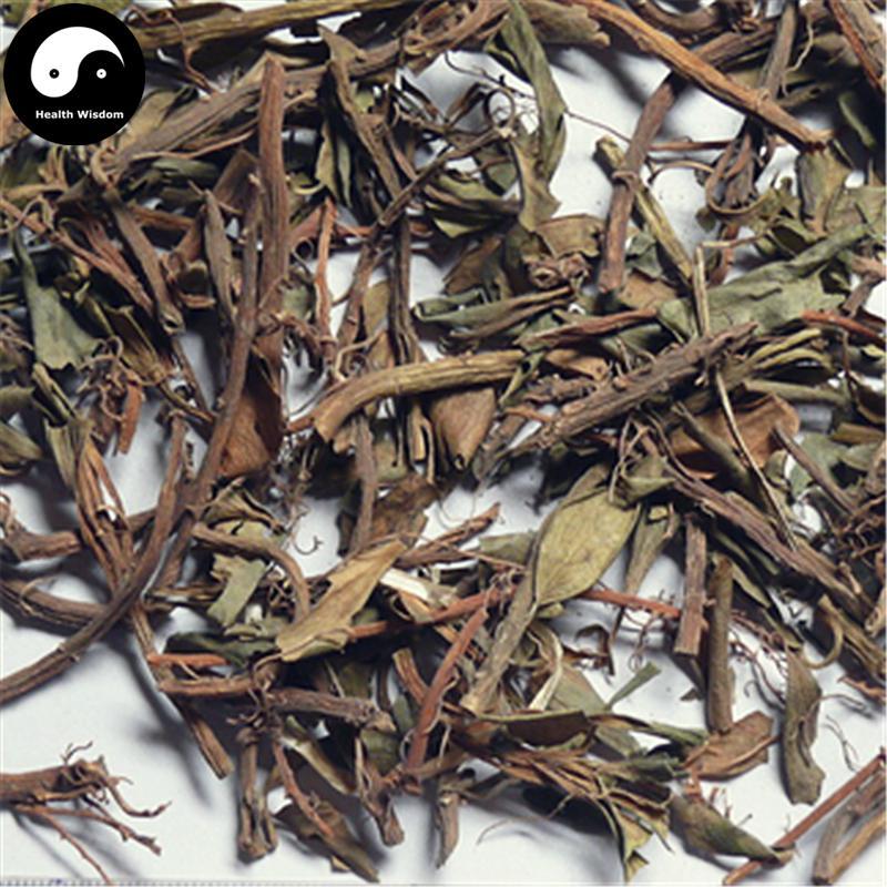 Kun Xian Sheng 捆仙绳, Herba Pachysandra Terminalis, Xue Shan Lin-Health Wisdom™