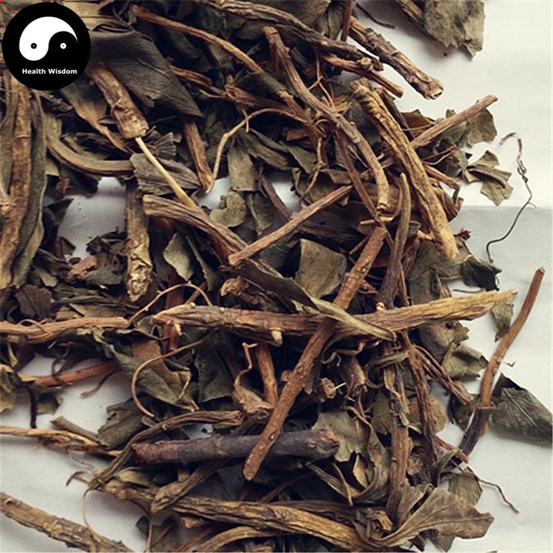Kun Xian Sheng 捆仙绳, Herba Pachysandra Terminalis, Xue Shan Lin-Health Wisdom™