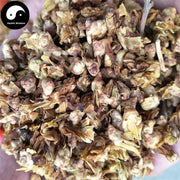La Mei Hua 腊梅花, Winter Sweet Flower, Flos Chimonanthi Praecocis-Health Wisdom™
