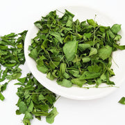 La Mu Ye 辣木叶, Leaf Moringa Oleifera, Moringa Leaves Tea-Health Wisdom™
