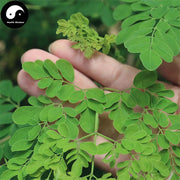 La Mu Ye Pian 辣木叶片, Leaf Moringa Oleifera Pills, Moringa Powder Pill-Health Wisdom™