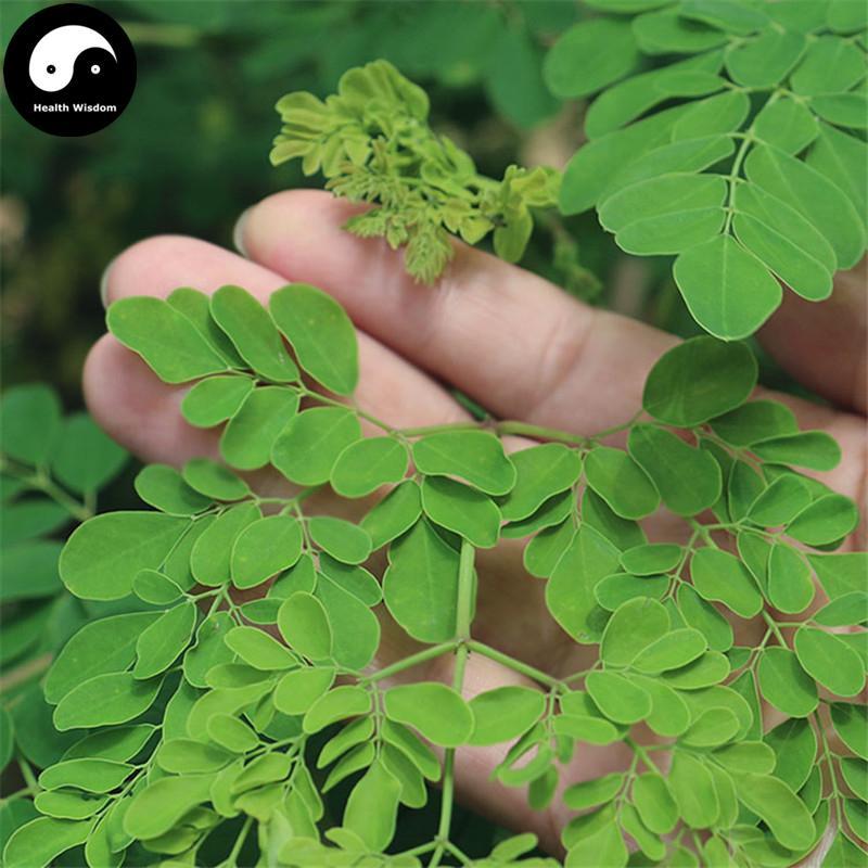 La Mu Ye Pian 辣木叶片, Leaf Moringa Oleifera Pills, Moringa Powder Pill-Health Wisdom™