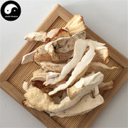 Laetiporus Sulphureus, Liu Huang Jun 硫磺菌-Health Wisdom™