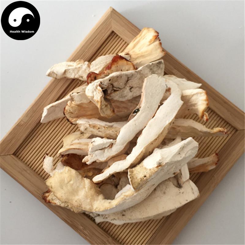 Laetiporus Sulphureus, Liu Huang Jun 硫磺菌-Health Wisdom™