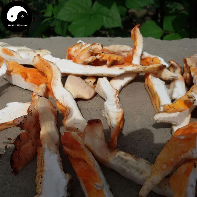 Laetiporus Sulphureus, Liu Huang Jun 硫磺菌-Health Wisdom™