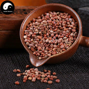 Lai Fu Zi 萊菔子, Semen Raphani, Radish Seed-Health Wisdom™