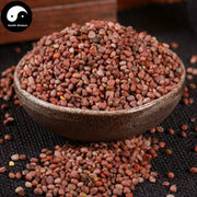 Lai Fu Zi 萊菔子, Semen Raphani, Radish Seed-Health Wisdom™