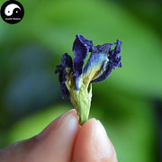 Lan Hu Die 蓝蝴蝶, Butterfly Pea Flower Tea, Kordofan Pea, Clitoria Ternatea Linn.-Health Wisdom™