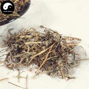 Lan Hua Shen 蓝花参, Herba Marginate Rockbell, Wahlenbergia Marginata, Xi Ye Sha Shen-Health Wisdom™