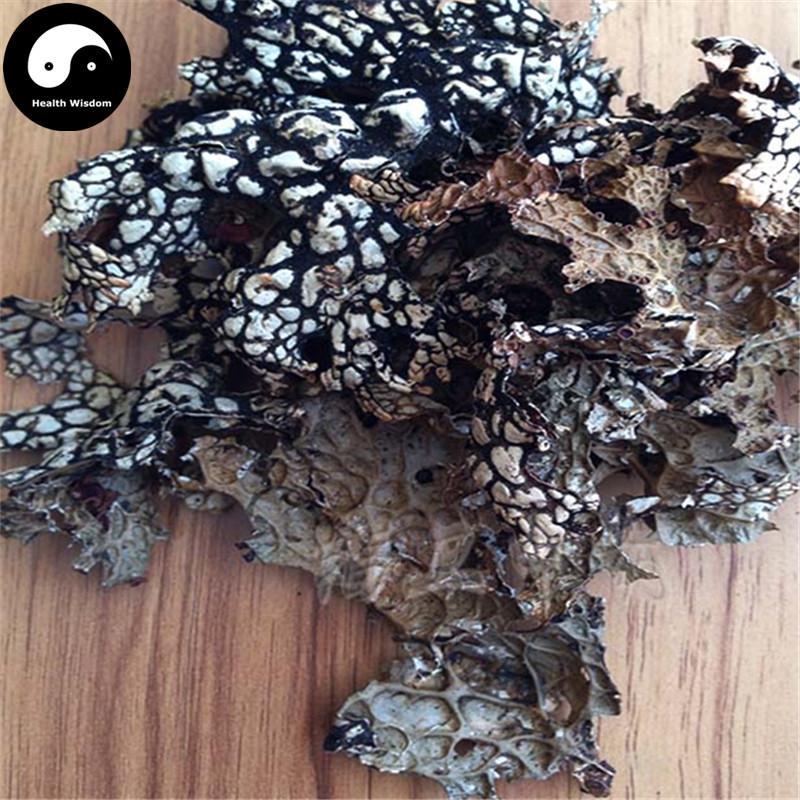 Lao Long Pi 老龙皮, Lobaria Kurokavae Yoshim, Shi Long Pi, Shi Long Yi-Health Wisdom™