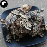Lao Long Pi 老龙皮, Lobaria Kurokavae Yoshim, Shi Long Pi, Shi Long Yi-Health Wisdom™