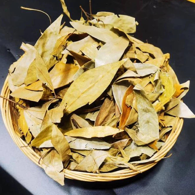 Lao Ying Cha 老鹰茶, Dried Litsea Coreana Leaves, Hotpot Tea, Chongqing Eagle Tree Leaf Tea-Health Wisdom™