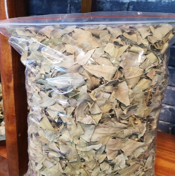 Lao Ying Cha 老鹰茶, Dried Litsea Coreana Leaves, Hotpot Tea, Chongqing Eagle Tree Leaf Tea-Health Wisdom™