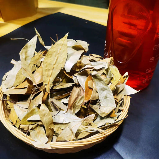 Lao Ying Cha 老鹰茶, Dried Litsea Coreana Leaves, Hotpot Tea, Chongqing Eagle Tree Leaf Tea-Health Wisdom™