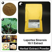 Laportea Sinensis Extract Powder, Laportea Sinensis P.E. 10:1, Ai Ma Cao-Health Wisdom™