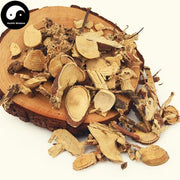 Le Ge Wang 了哥王, Radix Wikstroemae, Indian Stringbush Root, Di Mian Gen-Health Wisdom™