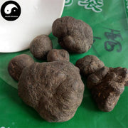 Lei Wan 雷丸, Omphalia Fruiting Body, Mylitta, Thunderball Fungus-Health Wisdom™