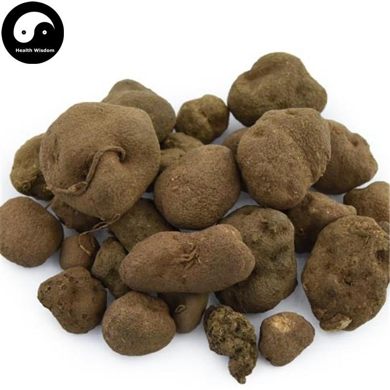 Lei Wan 雷丸, Omphalia Fruiting Body, Mylitta, Thunderball Fungus-Health Wisdom™