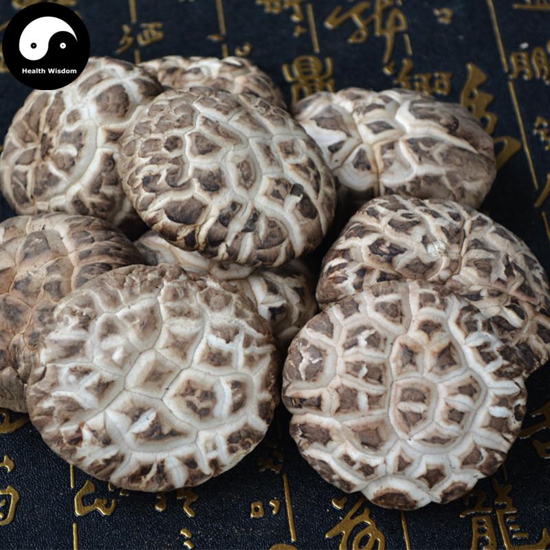 Lentinan Mushroom, Chinese Shiitake Mushroom, Hua Gu 花菇-Health Wisdom™