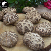 Lentinan Mushroom, Chinese Shiitake Mushroom, Hua Gu 花菇-Health Wisdom™