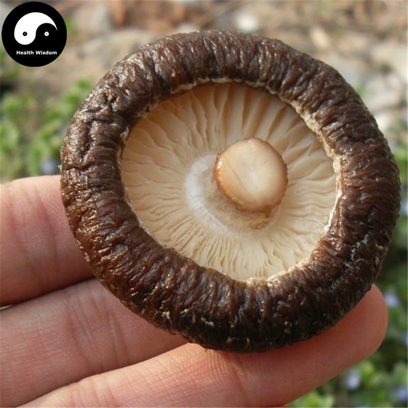 Lentinan Mushroom Powder, Chinese Shiitake Mushroom, Xiang Gu Fen 香菇粉-Health Wisdom™