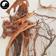 Li Gen Bai Pi 李根白皮, Prunus Salicina Root, Li Gen Pi-Health Wisdom™