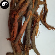 Li Gen Bai Pi 李根白皮, Prunus Salicina Root, Li Gen Pi-Health Wisdom™