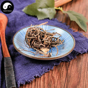 Li Lu 藜芦, Falsehellebore Root, Veratrum Nigrum Rhizome-Health Wisdom™