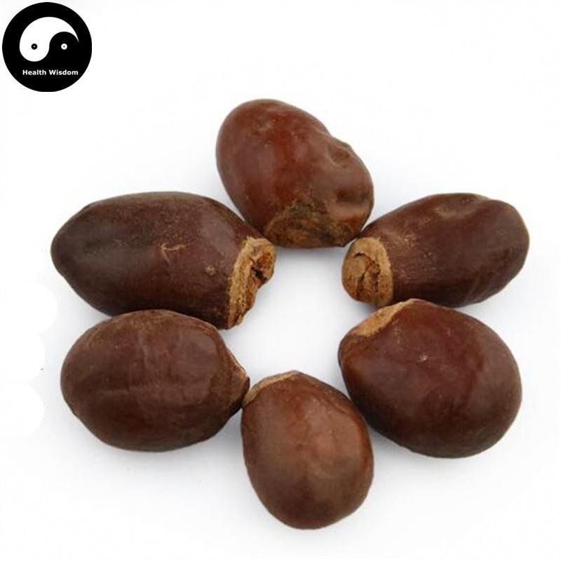 Li Zhi He 荔枝核, Semen Litchi, Lychee Seed-Health Wisdom™