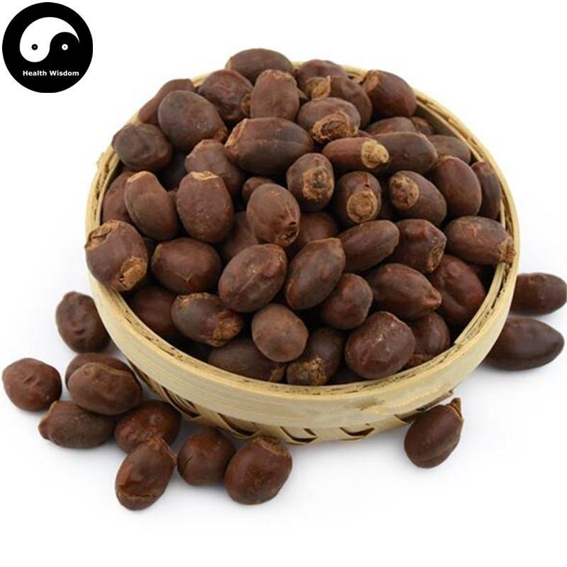 Li Zhi He 荔枝核, Semen Litchi, Lychee Seed-Health Wisdom™