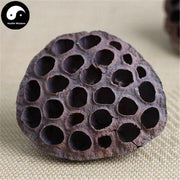 Lian Fang 蓮房, Lotus Seed Pot, Receptaculum Nelumbinis-Health Wisdom™