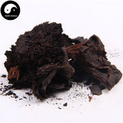 Lian Fang Tan 蓮房碳, Lotus Seed Pot Carbon, Receptaculum Nelumbinis-Health Wisdom™