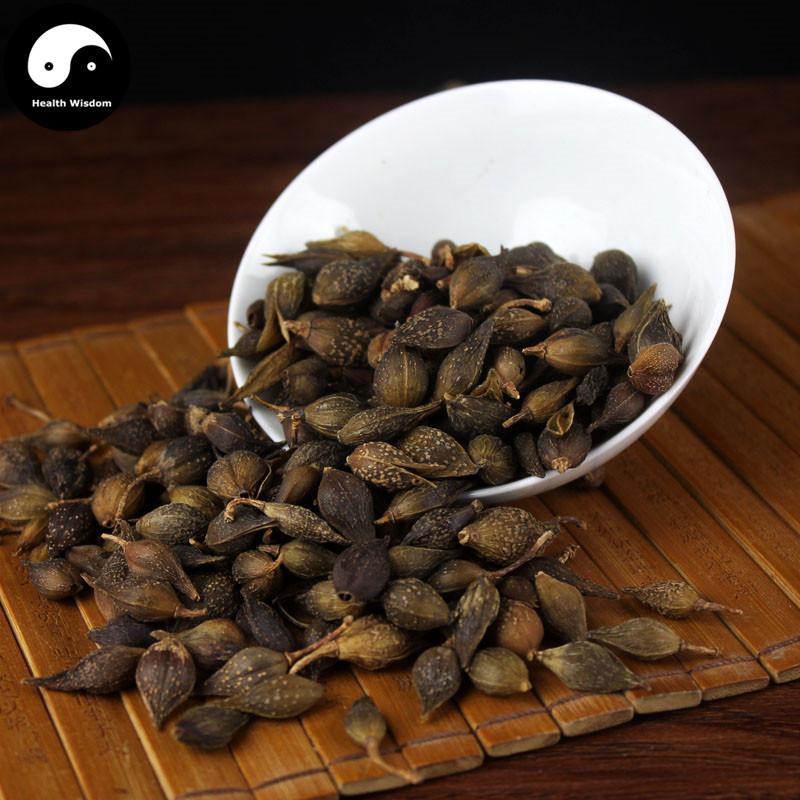 Lian Qiao 連翹, Lao Qiao, Fructus Forsythiae, Forsythia Suspensa-Health Wisdom™